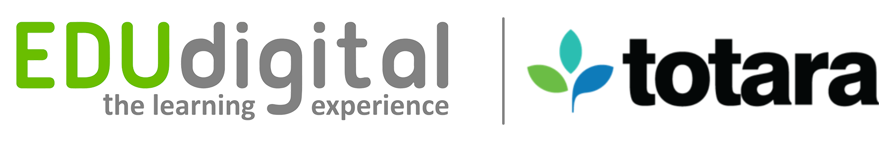 EDUdigital